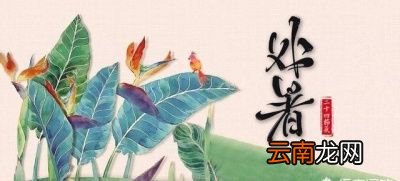 2019年处暑是几号