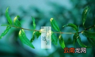 2019年会不会有秋老虎