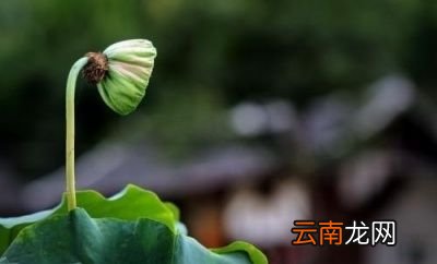2019年会不会有秋老虎