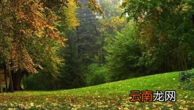 2019年会不会有秋老虎