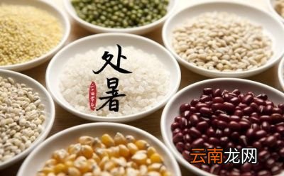 2019年处暑节气是几号