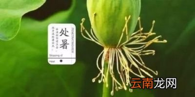 秋老虎有影响吗