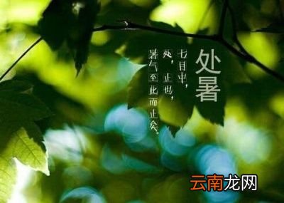 2019年的处暑具体时间是几号呢