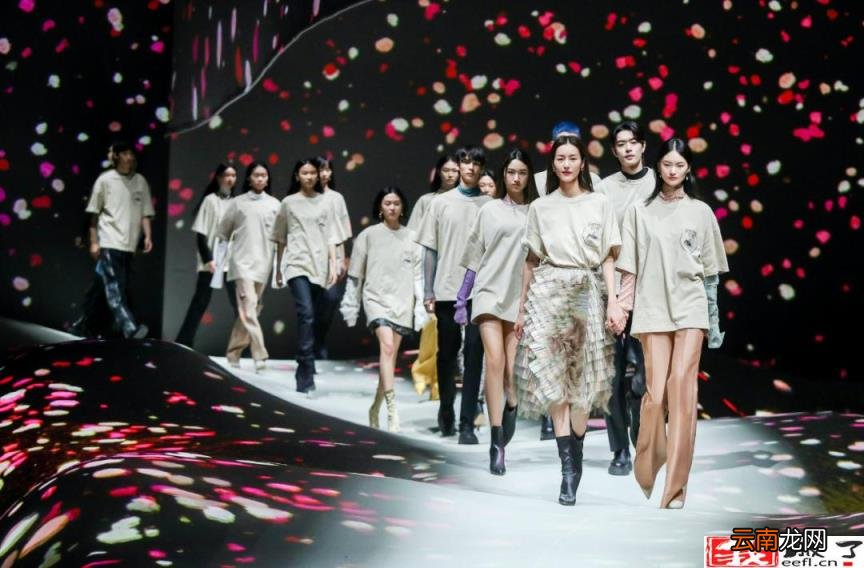 dazzle是什么牌子 dazzle是什么档次