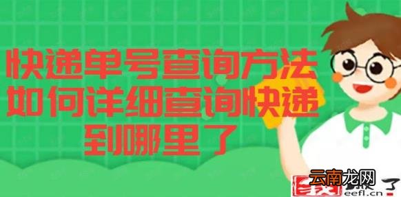 只有订单号怎么查快递 用订单编号能查物流吗