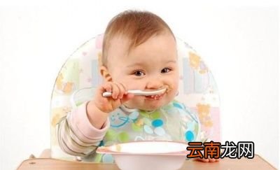 13个月宝宝早餐吃什么