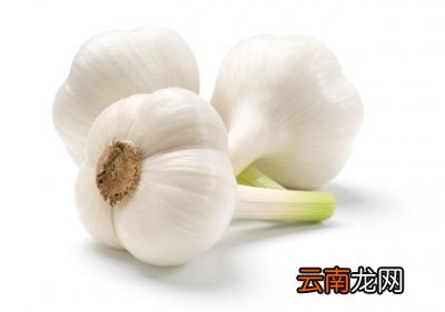 怎样吃大蒜最保健