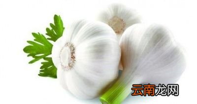 大蒜怎样吃最好