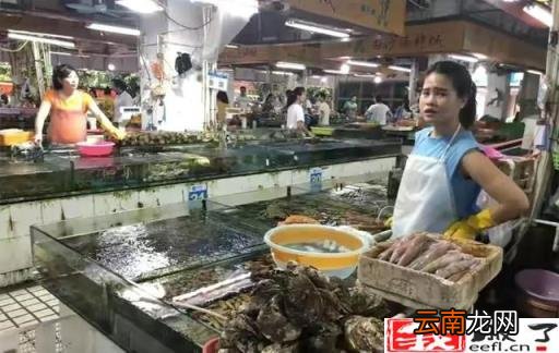 极速退款是什么意思 极速退款运费谁承担