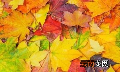 秋冬季节怎么保养皮肤之防冻保护