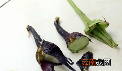 茄子根煮水喝可以治咳嗽有这个说法吗