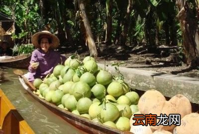 柚子虽好也是有禁忌的