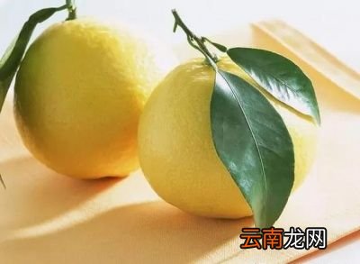 吃柚子要注意哪些