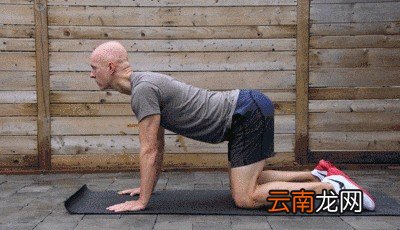 平板支撑是否伤腰及纠正方法
