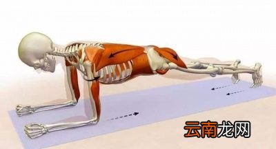 平板支撑是否伤腰及纠正方法