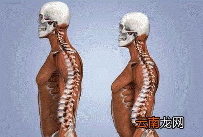 平板支撑是否伤腰及纠正方法