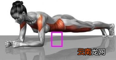 平板支撑是否伤腰及纠正方法