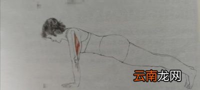 做等长收缩有什么危害