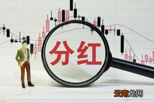 股票分红前买入划算吗 股票分红需要持股多久