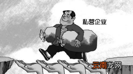私企和民营企业哪个好 私企和民营企业的区别