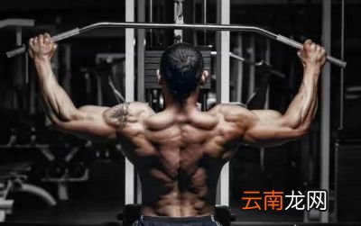 减脂期间我们应该如何避免肌肉流失呢