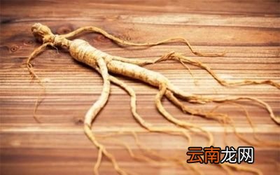 哪些人不宜吃西洋参