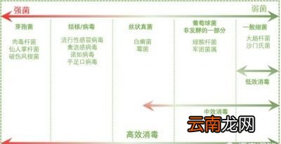 家里有宠物用什么拖地消毒祛味比较好