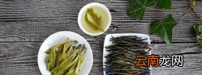 如果经常和苦丁茶对身体会有什么好处吗