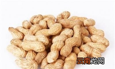 吃坚果能减肥吗