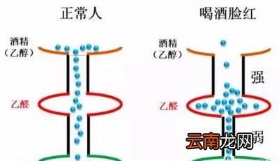 喝酒又有哪些禁忌呢