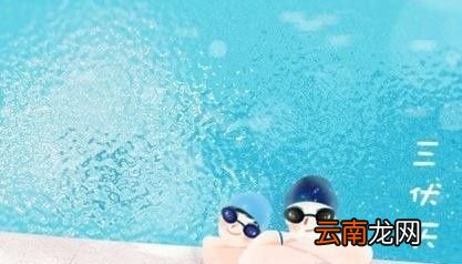 三伏天从哪个节气开始