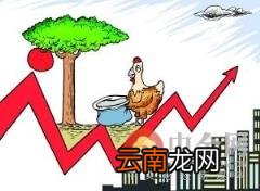 买场内基金好还是场外 场内基金和场外基金的区别