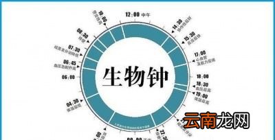 什么时间做俯卧撑比较好