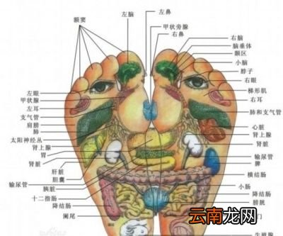 泡脚为什么有养肾作用