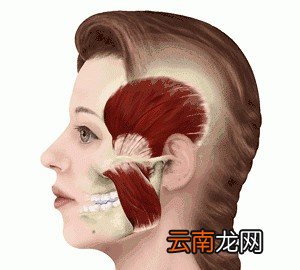 究竟要打几次才能定型