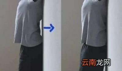 什么是骨盆前倾呢