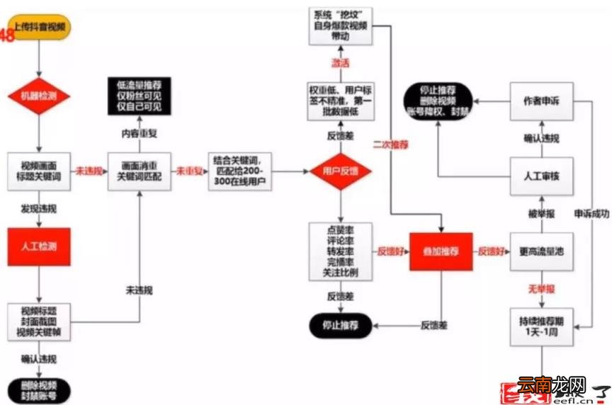 抖音如何推广自己的作品 抖音起步养号细则