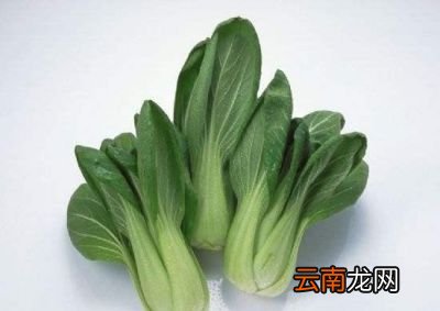 香菇青菜包子馅如何保持翠绿