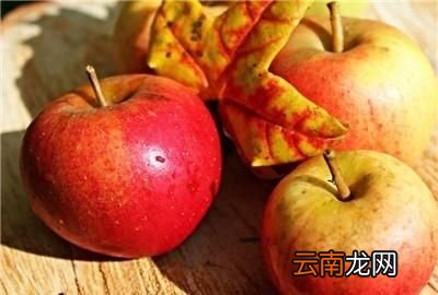 晚上睡前可不可以吃苹果