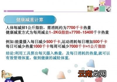 理论分析如何2个月减去10斤