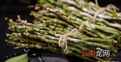 石斛的保存方法分鲜条的保存和干石斛的保存