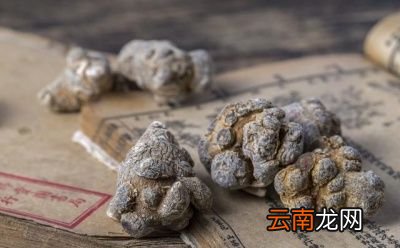 丹参片的作用是什么能不能清理血液垃圾