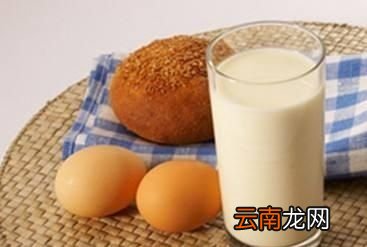 减肥期间可以吃什么主食