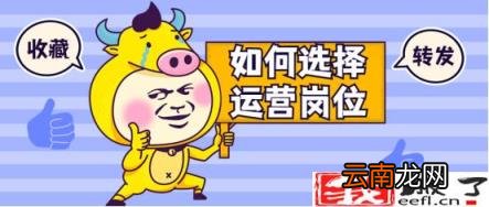 网络运营具体做什么 新手怎么学网络运营