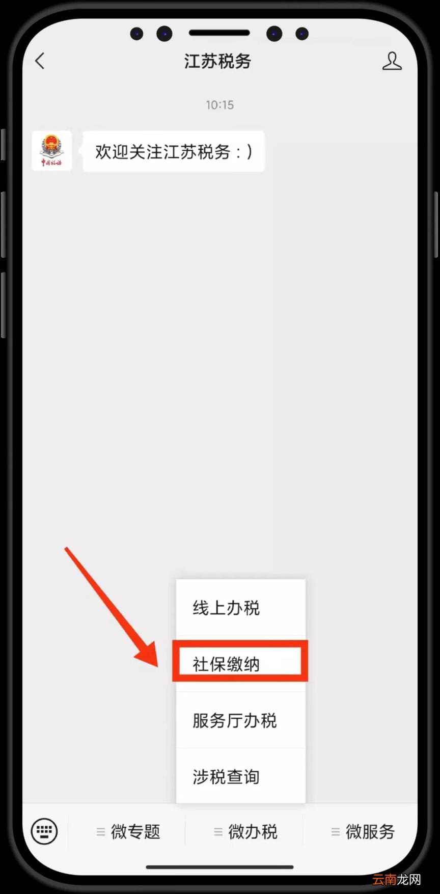手机上怎么交社保缴费 社保在手机上怎么缴费