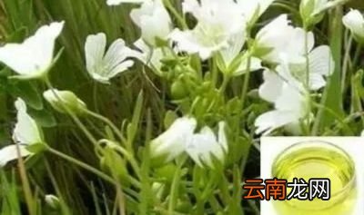 一化妆就长痘痘的各种原因分解