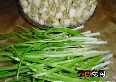 好处 吃韭菜籽对身体有哪些“作用”