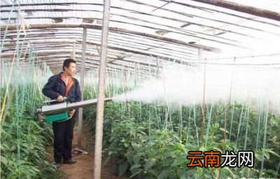 磷酸二氢钾多少时间使用一次最好