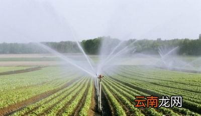磷酸二氢钾多少时间使用一次最好