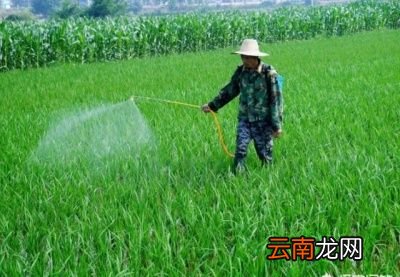 磷酸二氢钾多少时间使用一次最好